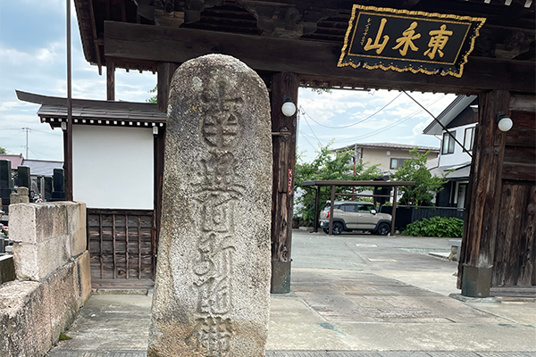 サンプル画像