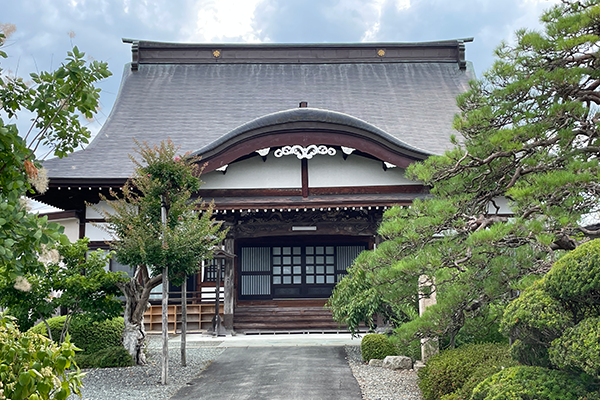 サンプル画像