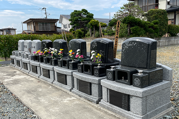 サンプル画像