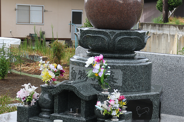 サンプル画像